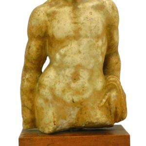 Classical Ancient Marble Torso of Male Figure on Wood Base