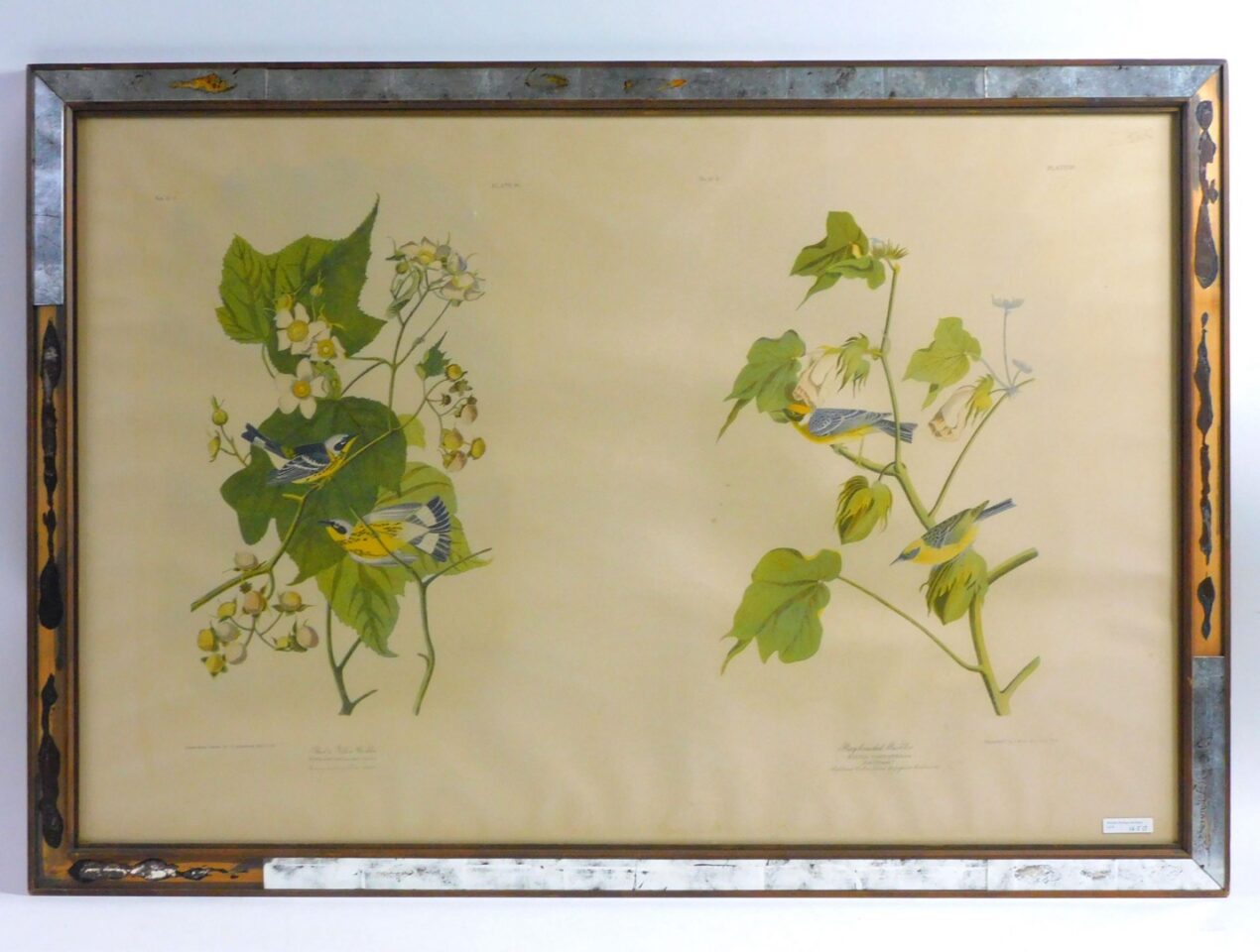 Julius Bien chromolithograph "Bay Breasted Warbler and Black and Yellow Warbler" 1860 auction catalog listing.