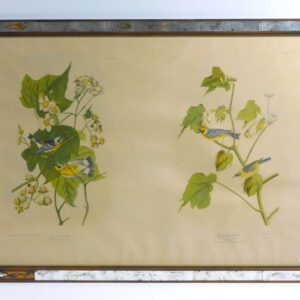 Julius Bien chromolithograph "Bay Breasted Warbler and Black and Yellow Warbler" 1860 auction catalog listing.