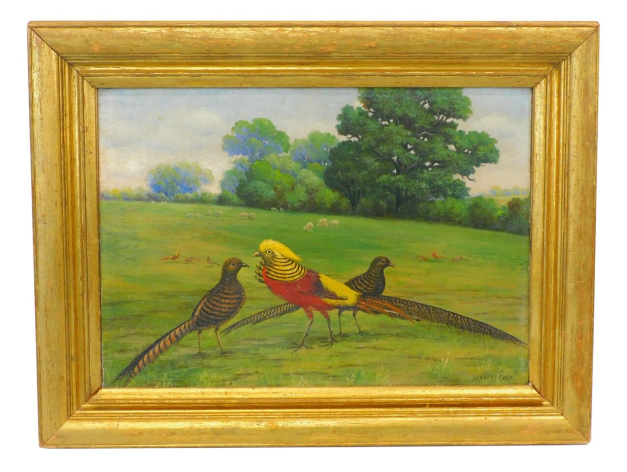 Herbert Cash (1864-1911) 1912 Portrait of Exotic Birds Oil on Canvas Painting in Gilt Frame.