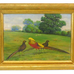 Herbert Cash (1864-1911) 1912 Portrait of Exotic Birds Oil on Canvas Painting in Gilt Frame.