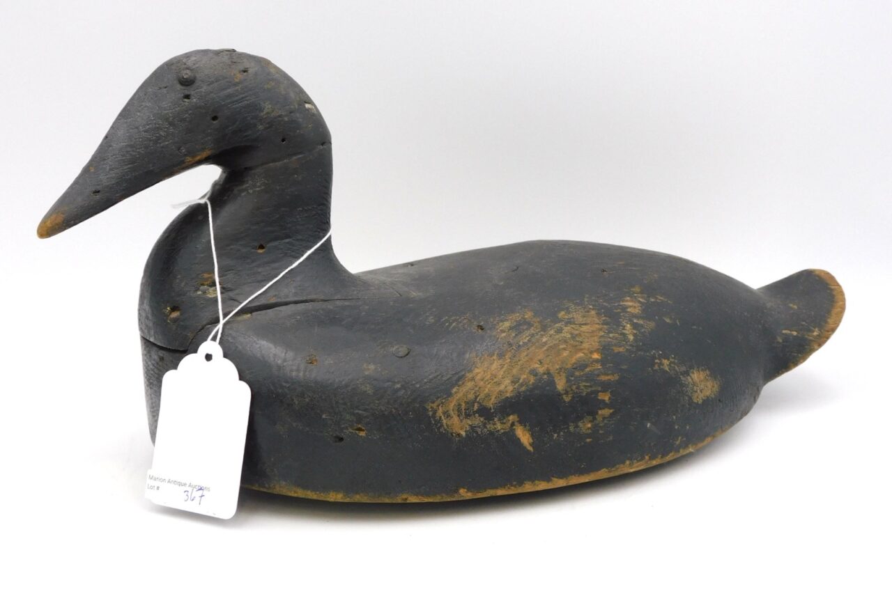 Maine Carved Scoter Sea Duck