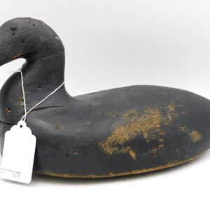 Maine Carved Scoter Sea Duck