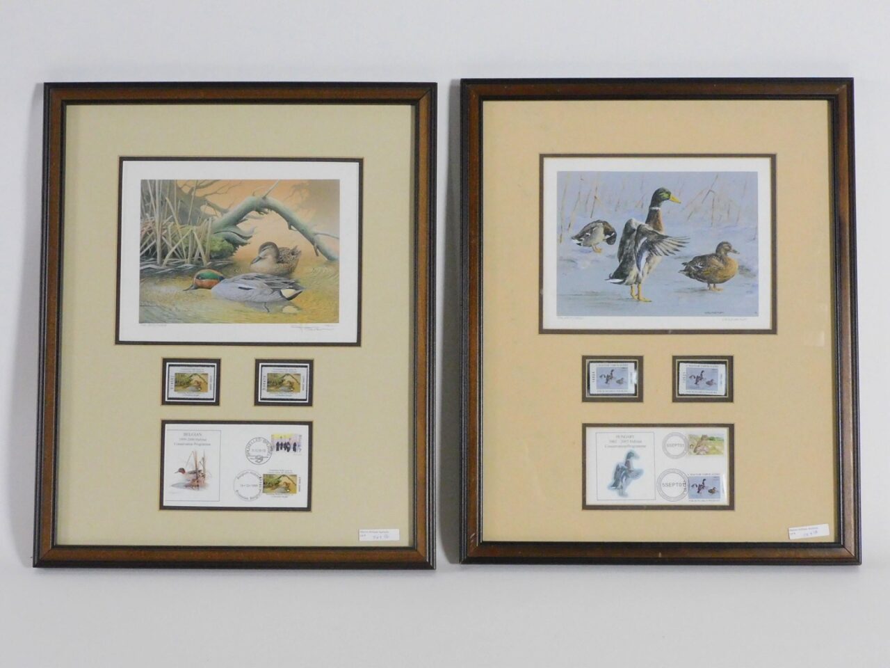 Andre Buzin (Belgium) & Magyar Vadvilgret (Hungarian) Duck Stamp Prints