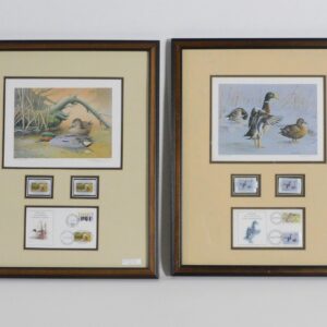 Andre Buzin (Belgium) & Magyar Vadvilgret (Hungarian) Duck Stamp Prints