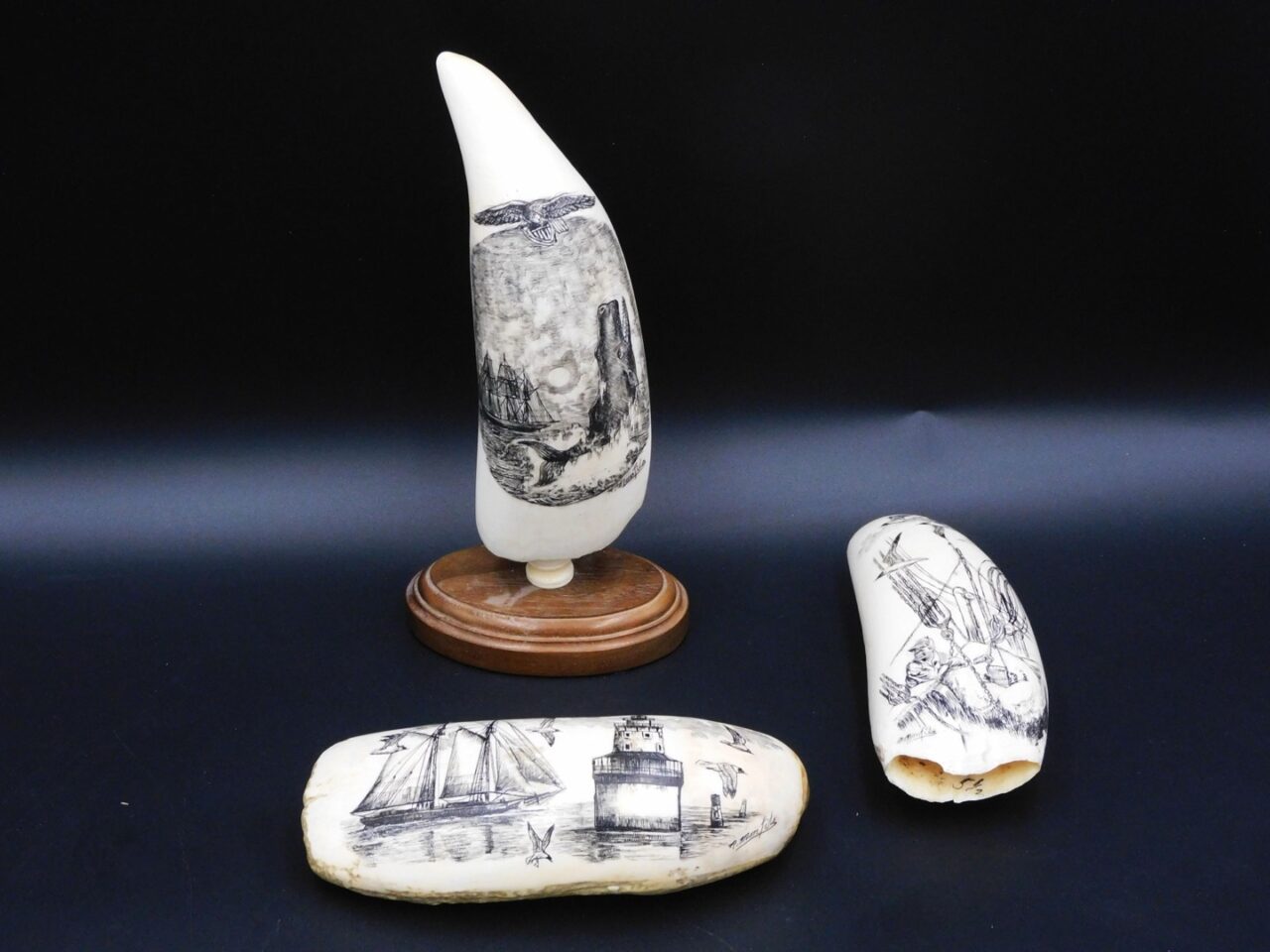 Robert Monfils Contemporary Scrimshaw Sperm Whale Teeth