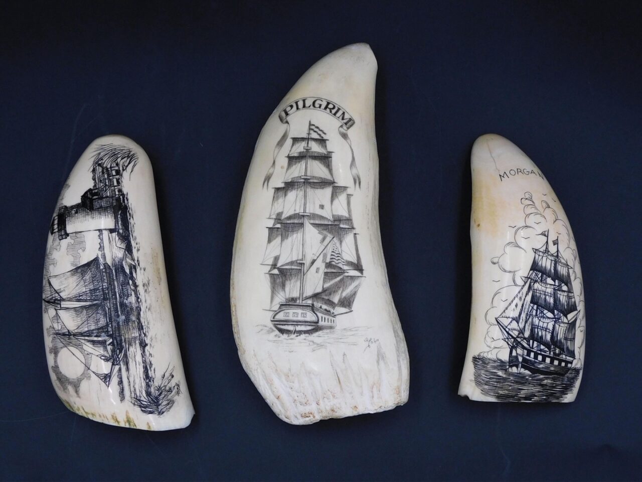 John's Whaleship Pilgrim Scrimshaw Sperm Whale Teeth