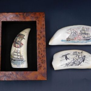 Three Contemporary Scrimshaw Sperm Whale Teeth by Unknown Artist