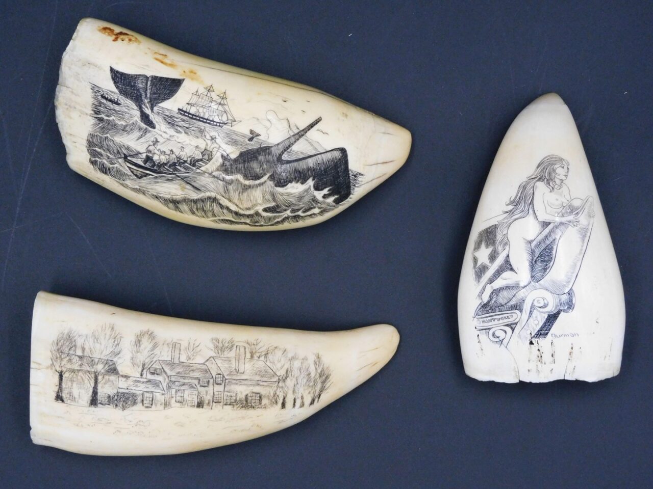 Three Contemporary Scrimshaw Sperm Whale Teeth by Burman: Country Scene