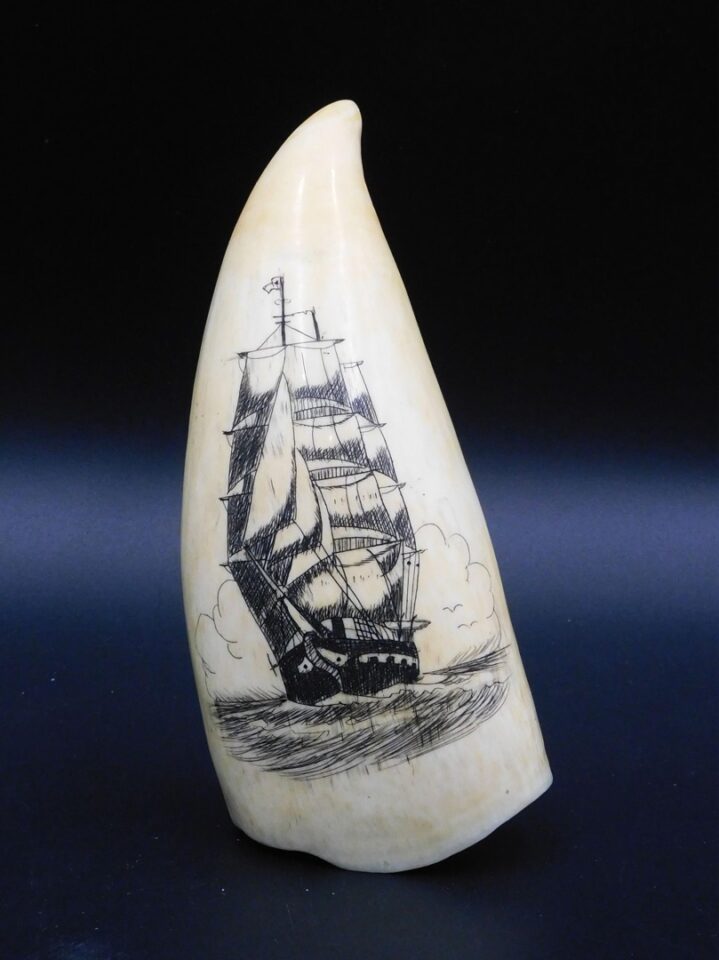 Contemporary Scrimshaw Sperm Whale Tooth with Fully Rigged Ship