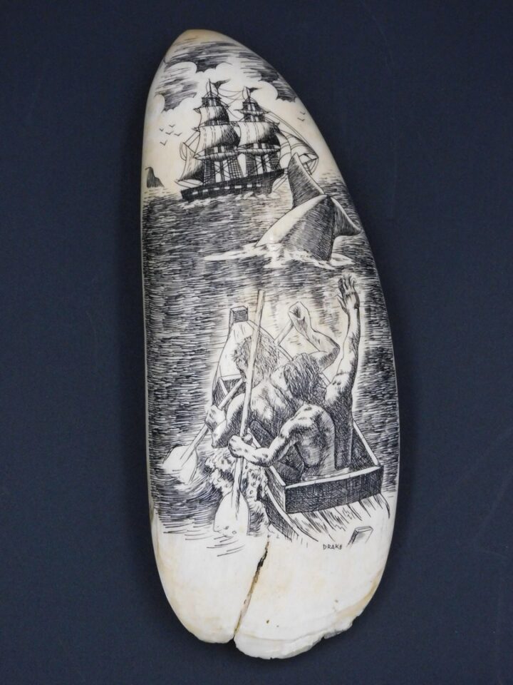 Scrimshaw Sperm Whale Tooth