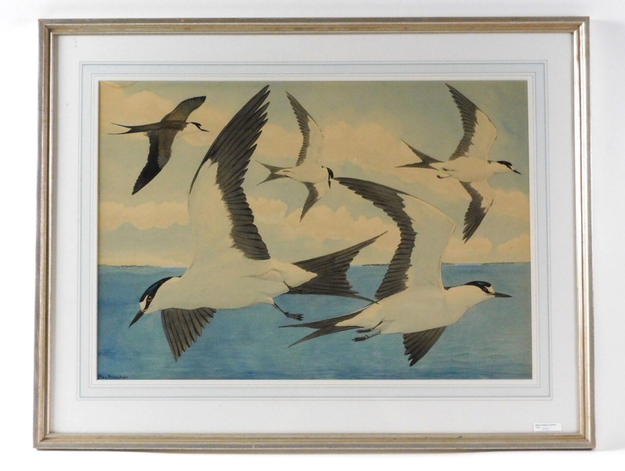 Rex Brasher (1869-1960) Watercolor Seagulls 19th Century