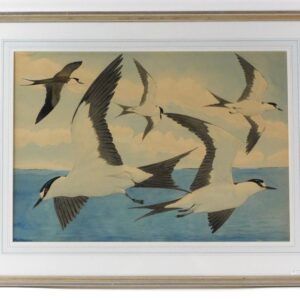 Rex Brasher (1869-1960) Watercolor Seagulls 19th Century