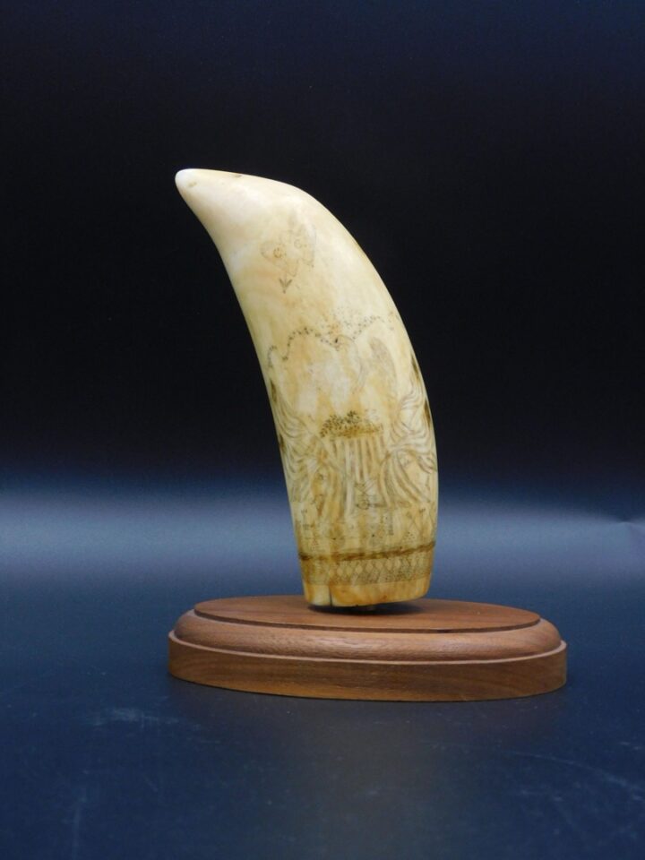 19th c. Scrimshaw Sperm Whale Tooth with Patriotic Military Motif by Unknown Artist