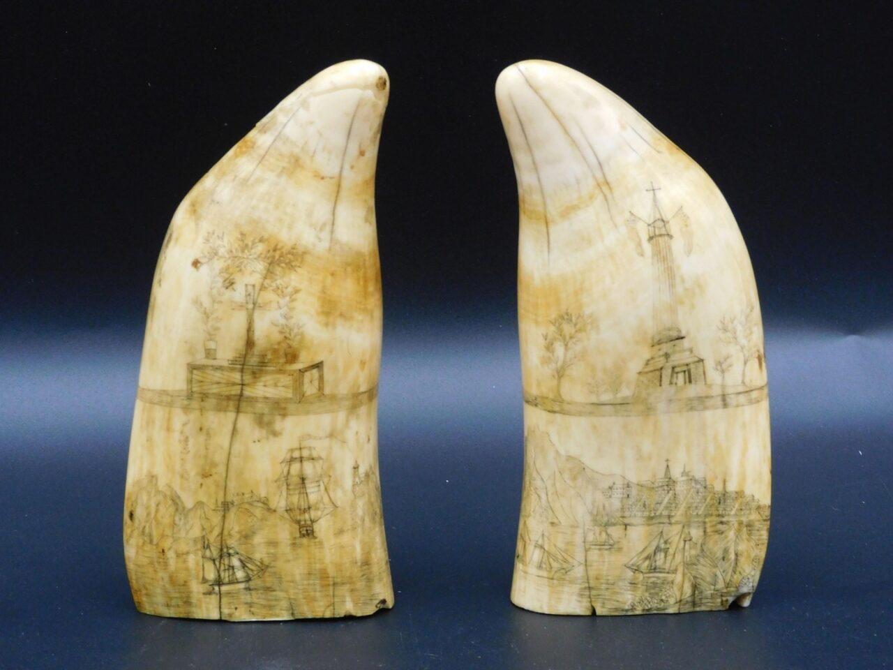 Pair of Scrimshaw Sperm Whale Teeth by Unknown Artist