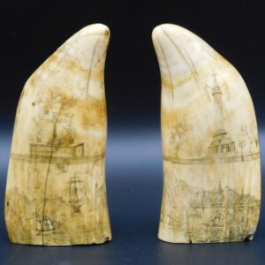 Pair of Scrimshaw Sperm Whale Teeth by Unknown Artist