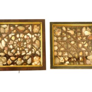 (2) Shellwork displays