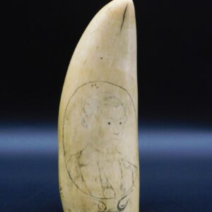 19th c. Scrimshaw Sperm Whale Tooth with Portrait of Man in Frock Coat by Unknown Artist