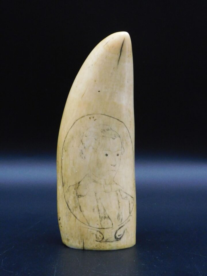 19th c. Scrimshaw Sperm Whale Tooth with Portrait of Man in Frock Coat by Unknown Artist