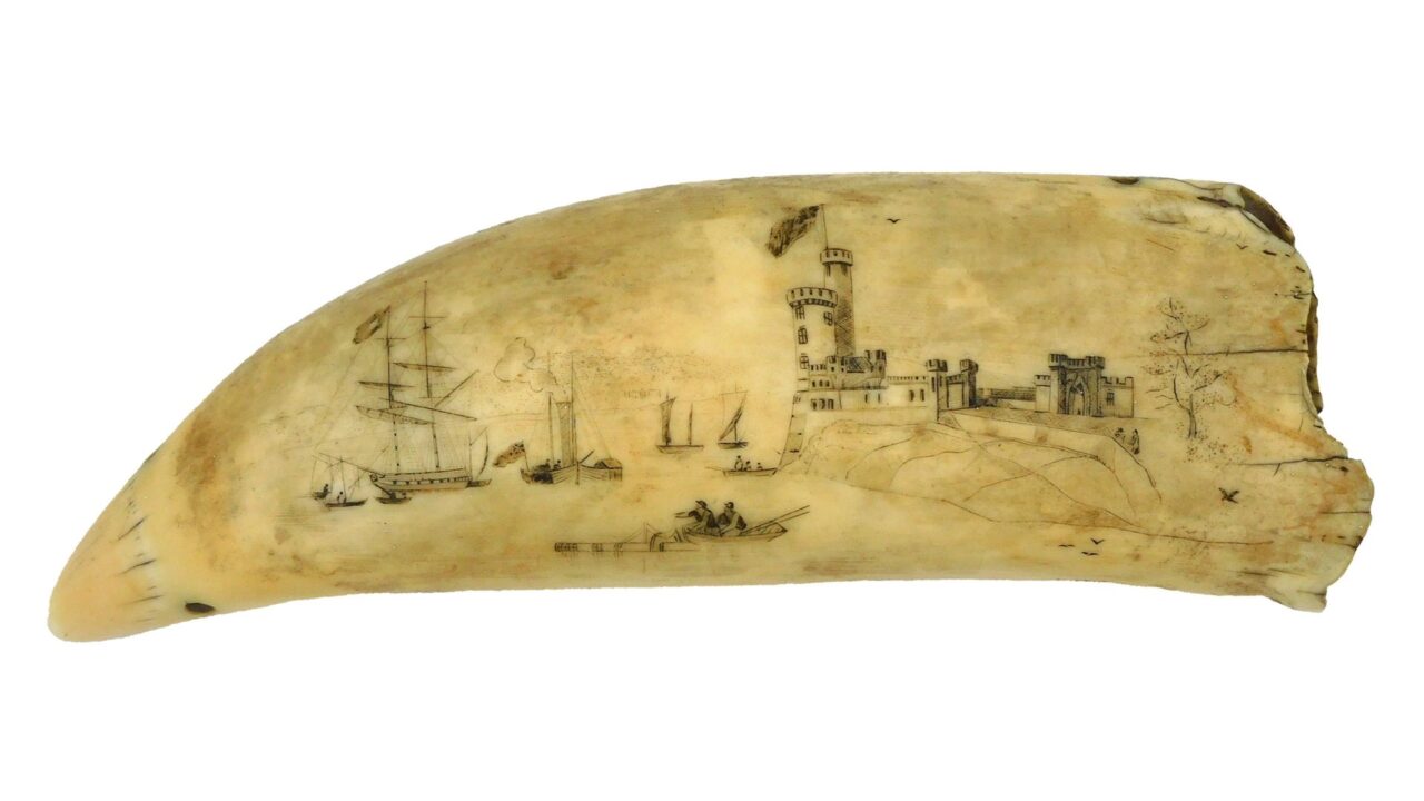 Scrimshaw Tabua.