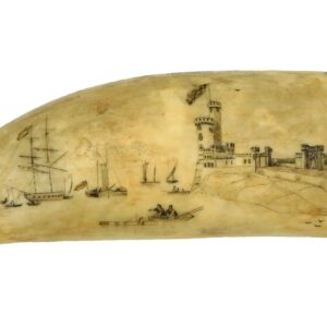 Scrimshaw Tabua.