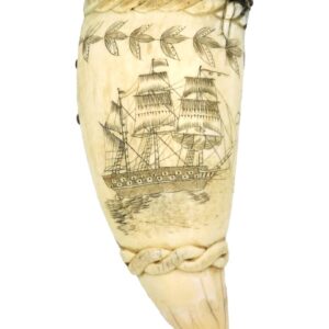 Scrimshaw Whale Tooth Snuff Box.