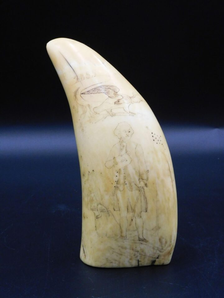 Scrimshaw Sperm Whale Tooth by Unknown Artist