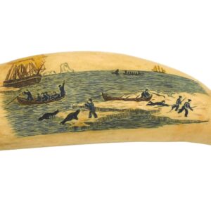 Scrimshaw Sperm Whale Tooth.