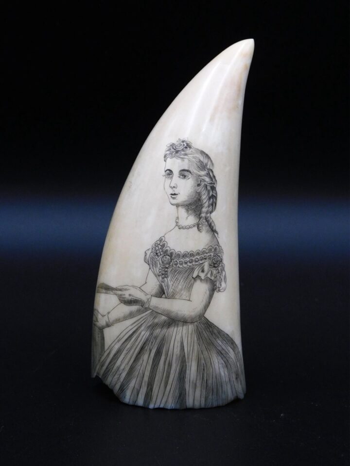 Victorian Women Scrimshaw Sperm Whale Tooth