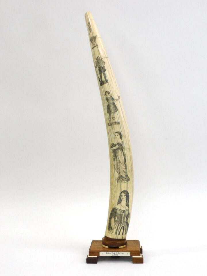 19th c. Scrimshaw Walrus Tusk with Polychrome Vignettes by Unknown Artist