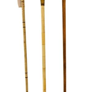 (3) Novelty Walking Sticks