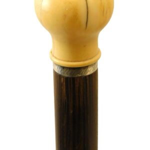 Scrimshaw Walking Stick