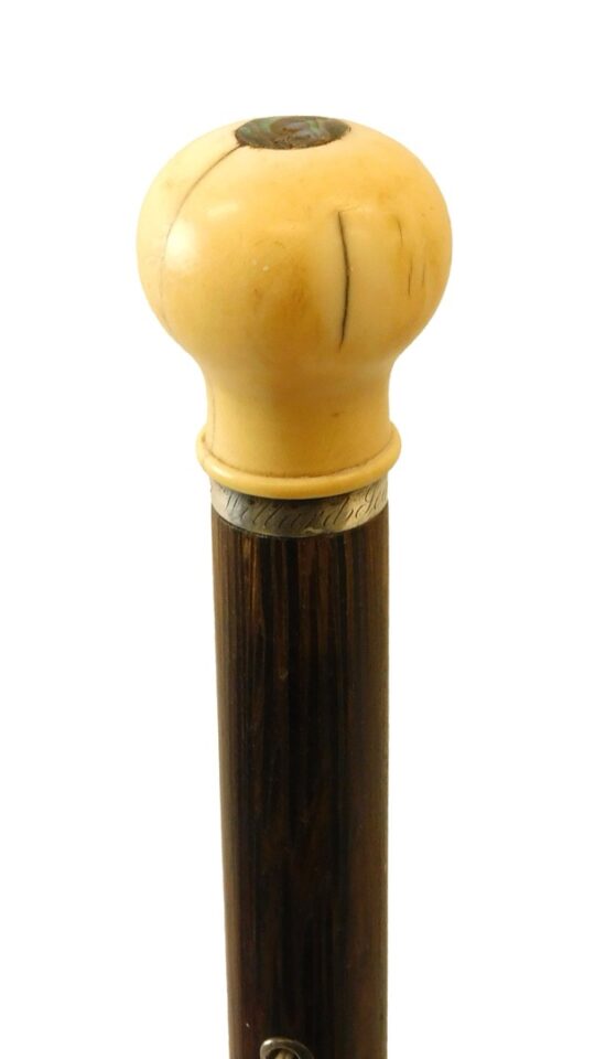 Scrimshaw Walking Stick