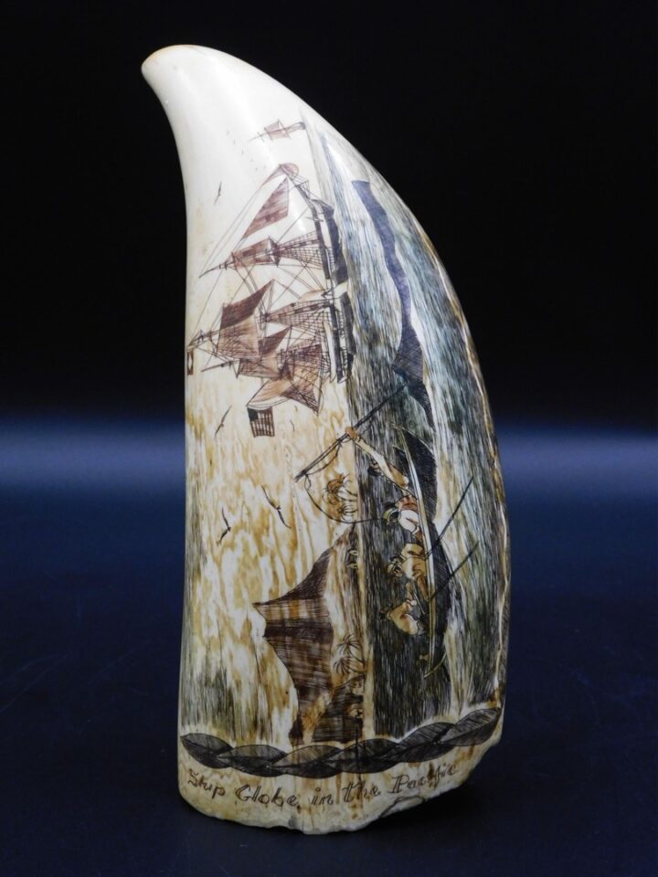 Robert Spring Polychrome Scrimshaw Sperm Whale Tooth